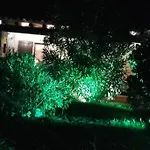 Reparata *